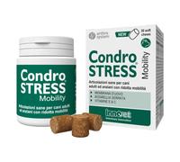 CONDROSTRESS MOBILITY 30 CHEWS