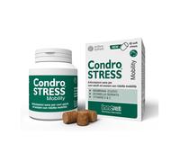 Condrostress mobility 60 soft chews