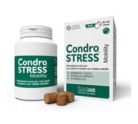 Condrostress mobility 90 soft chews