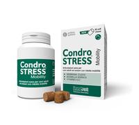 Condrostress Mobility per Cani Adulti e Anziani Che Soffrono di Rigidità