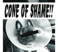Cone Of Shame - Faith No More (Vinile)