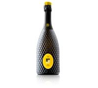 Conegliano Valdobbiadene Prosecco Superiore DOCG Millesimato Extra Dry 2024 | Bepin de Eto
