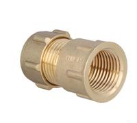 Conex Bänninger FO52225 Manicotto filettato, ottone