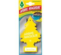 Conf. 24 pz Agrumi di Capri