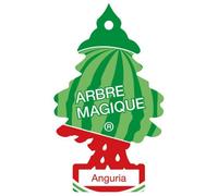 Conf. 24 pz Anguria
