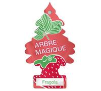 Conf. 24 pz Fruit Fragola