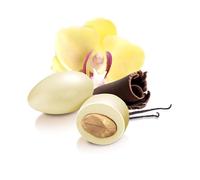 Confetti Papa - Cioccolato e Mandorla g 500 | Gusto Vaniglia | Colore Giallo chi