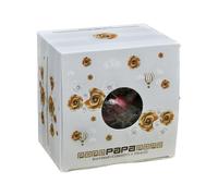 CONFETTI PAPA MONODOSE CIOCCOGOLOSONE ROSSO LAUREA in Vassoio da 500 g 1BS1