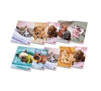Pigna confezione 10 Maxi Quaderni A4 DOLCI CUCCIOLI, pagine 80+risguardo,quadretto 4mm
