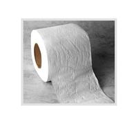 Confezione - 12 rotoli di carta igienica, 2 strati, assorbimento, morbido al tatto, ideale per casa e ufficio, 100% biodegradabile.