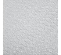Confezione 18 mq pannello polistirolo per controsoffittatura TPDZVIE 50x50 cm