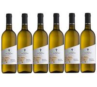 Confezione 6 bottiglie GEWURZTRAMINER Bio Vegan | Vino Bianco Trentino DOC | Cantina Aldeno - Linea BIO VEGANA (Gewurztraminer)