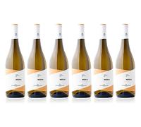 Confezione 6 bottiglie INZOLIA | Vino Bianco Sicilia IGP | Cantina Tenute Orestiadi | Collezione Molino a Vento
