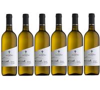 Confezione 6 bottiglie PINOT GRIGIO BIO VEGAN | Vino Bianco Trentino DOC | Cantina Aldeno - Linea BIO VEGANA (Pinot Grigio)