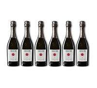 Confezione 6 bottiglie Prosecco Brut Superiore di Valdobbiadene DOCG| Cantina Varaschin di Valdobbiadene | Vigneti di San Pietro di Barbozza