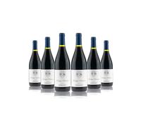 Confezione 6 bottiglie Teroldego Rotaliano | Cantina Dorigati