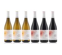 Confezione 6 bottiglie | Vino ETNA DOC Sicilia | 3 bt ROSSO ETNA DOC e 3 bt BIANCO ETNA DOC | Cantina Tenute Orestiadi | Selezione Vini dell'Etna (3 Rosso | 3 Bianco)