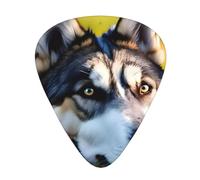 Confezione assortita di plettri per chitarra, bordi lisci, motivi durevoli e trasparenti, 3 opzioni di spessore, motivo cane husky