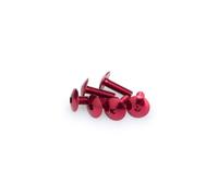 Confezione blister da 6 viti in alluminio M6 compatibile con UNIVERSAL UNIVERSAL