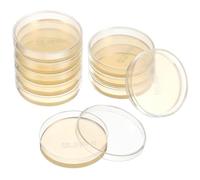 Confezione da 10 Piastre di Agar di 7cm Precolate - Piastre di Petri Sterilizzate per Laboratorio, Progetti Scolastici, Ricerca Medica e Biologica