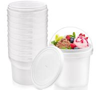 Confezione da 10 secchi in plastica bianca con manico e coperchio, secchio multiuso da 2 l, per pittura, acqua, progetti artigianali, garage, organizzazione (bianco)