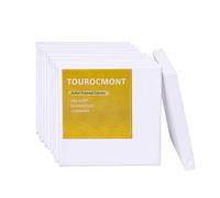 Confezione da 10 tele, 25 x 25 cm, telaio in cotone, 380 g/m², tele da dipingere, 100% senza acidi, colore bianco, innescato per pittura acrilica, pittura ad olio, guazzo