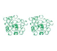 Confezione da 100 fascette for zampe di pollame - Anelli di identificazione numerati e resistenti for polli e anatre, for una facile gestione della razza(Green,2 packs)