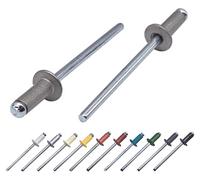 Confezione da 100 pezzi, rivetti ciechi verniciati 3,2 x 8 mm, a testa emisferica, DIN 7337, rivetto in alluminio e mandrino in acciaio, rivetti a strappo (100, grigio alluminio RAL 9007)