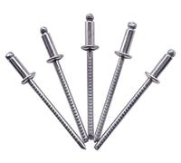 Confezione da 100 rivetti ciechi in acciaio inox 3,2 x 10 mm, testa a cupola, rivetti a pressione, DIN 7337, A2, mandrino scanalato (100, 3,2 x 10 mm)