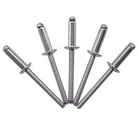 Confezione da 100 rivetti per ciechi in acciaio inox, 4,0 x 14 mm, testa a cupola, ribattini DIN 7337, A2, mandrino scanalato (100, 4,0 x 14 mm)