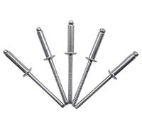 Confezione da 100 rivetti per ciechi in acciaio inox, 4,0 x 16 mm, testa a cupola, ribattini DIN 7337, A2, mandrino scanalato (100, 4,0 x 16 mm)