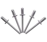 Confezione da 100 rivetti per ciechi in acciaio inox, 4,8 x 10 mm, testa a cupola, ribattini DIN 7337, A2, mandrino scanalato (100, 4,8 x 10 mm)