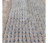 Confezione da 100 sacchetti per semi, 8 x 10 cm, in tessuto non tessuto biodegradabile, per piantine di verdure, fiori e alberi, forniture per il giardino domestico
