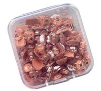 Confezione da 100 statuine in miniatura a forma di capibara in stile cartone animato, ornamenti per case delle bambole, decorazione per scrivania, chiodi, decorazione per la casa, piccole sculture