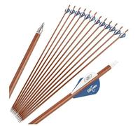 Confezione da 12 frecce in carbonio da 31,5“ con spina dorsale da 500, diametro interno da 6,2 mm e diametro esterno da 7,8 mm con alette in gomma da 2” per la caccia e il tiro al bersaglio (Luce)