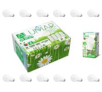 Confezione da 12 lampadine a LED E27 A60 luce bianca fredda 6500 K da 12 W (equivalente a 85 W) 1200 lumen, lampadine a risparmio energetico, angolo del fascio di 180°, non dimmerabile, senza