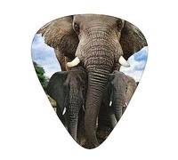 Confezione da 12 plettri per chitarra, 3 diversi spessori, elefanti selvatici africani, con custodia in plastica trasparente, per chitarra elettrica, basso, ukulele, (inclusi 0,46 mm, 0,71 mm, 0,96