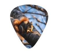 Confezione da 12 plettri per chitarra, comodi da tenere in mano, con bordi lisci, tre spessori da abbinare a Squirrel in The Tree Picture