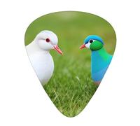 Confezione da 12 plettri per chitarra, comodi da tenere in mano, con bordi lisci, tre spessori da abbinare a erba e colomba Stampe