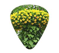 Confezione da 12 plettri per chitarra, comodi da tenere in mano, con bordi lisci, tre spessori da abbinare a stampe floreali Flower Vine