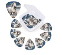 Confezione da 12 plettri personalizzati per chitarra con cavallo bianco che corre sul mare, con scatola portaoggetti, plettri colorati in celluloide per chitarra, include plettri sottili, medi e