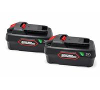 Confezione da 2 batterie sostitutive da 5,0 Ah per Parkside X 20 V Team Serie, compatibile con Pap 20 A1, A2, A3, B1, B3, adatto per tutti i dispositivi a batteria Parkside X 20 V e caricabatterie