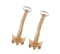 Confezione da 2 ciondoli anatomici per borsa per colonna, Cream | Sagome in miniatura della colonna vertebrale e del bacino, set da 2, accessori decorativi per zaini, chiavi e