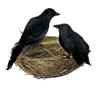 Confezione da 2 corvi per Halloween Corvi neri realistici con nido Spaventoso uccello corvo di piume nere per Decorazione di Halloween Spaventoso oggetto di scena Decorazioni per esterni e interni