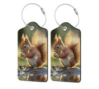 Confezione da 2 etichette per bagagli in pelle PU, etichetta con anello in acciaio inossidabile con scoiattoli che mangiano pigne per valigie, etichetta per bagagli con timbro da viaggio per donne e r