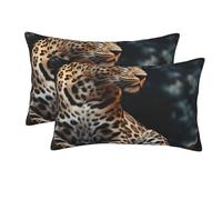 Confezione da 2 federe con cerniera, federa morbida e traspirante per capelli e pelle, federe per cuscini da 20"x30" per dormire, regalo per letto, federe con motivo leopardo seduto
