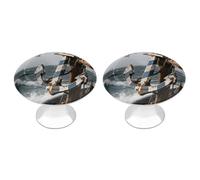 Confezione da 2 pomelli rotondi per armadietti a forma di ancora marina, in acciaio inox, da 2,8 cm, con viti, maniglie per porte, accessori da cucina, per armadietti da bagno, armadi, porte e