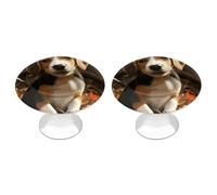 Confezione da 2 pomelli rotondi per armadietti a forma di beagle, in acciaio inox, da 2,8 cm, con viti, maniglie per porte, accessori da cucina, per bagno, armadio, porta armadio