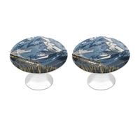 Confezione da 2 pomelli rotondi per armadietti con montagne innevate da 2,8 cm, in acciaio inossidabile, con viti, maniglie per porte, accessori da cucina, per bagno, armadio, porta armadio