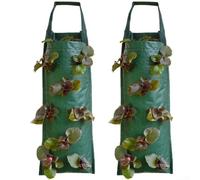 Confezione da 2 sacchetti da appendere con più scomparti per piantare fragole, pomodori, peperoni e verdure a radice poco profonda (C)